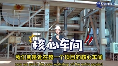 স্ল্যাড ইন্সট্রাকশন প্ল্যান্ট চিকিত্সা এবং নিষ্পত্তি / স্ল্যাড জ্বলন 380V/220V